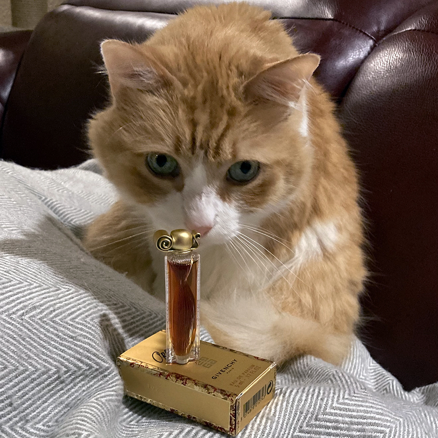 Rusty and Givenchy Organza