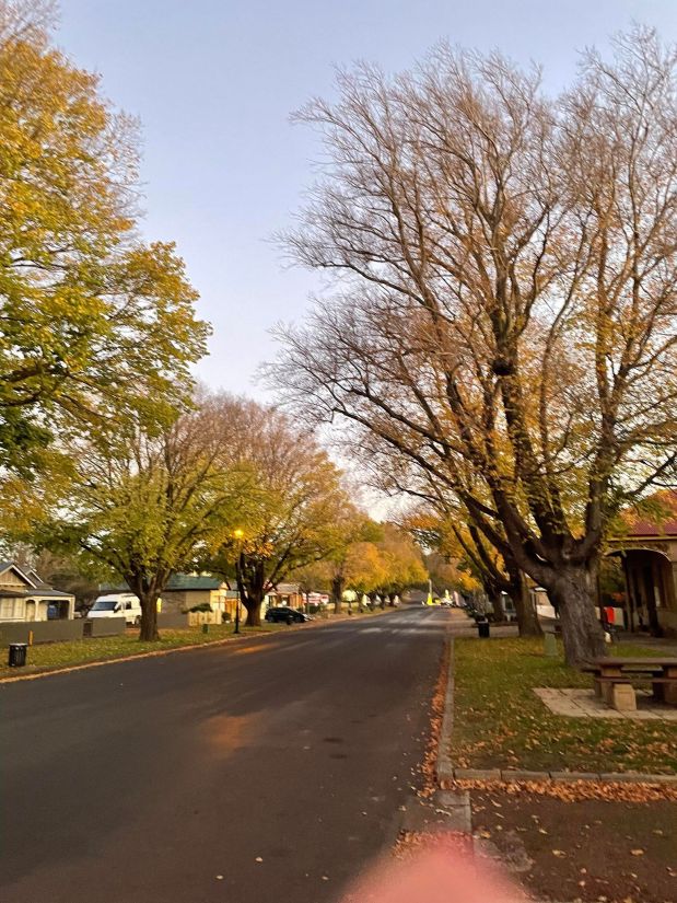 Tasmania Getaway, Pics and&nbsp;Thunks