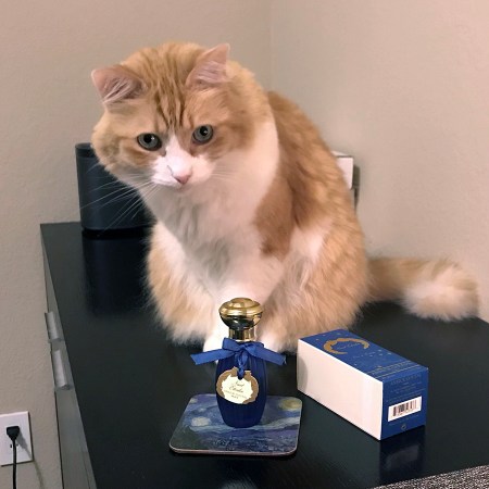 Rusty and Annick Goutal Nuit Etoilee