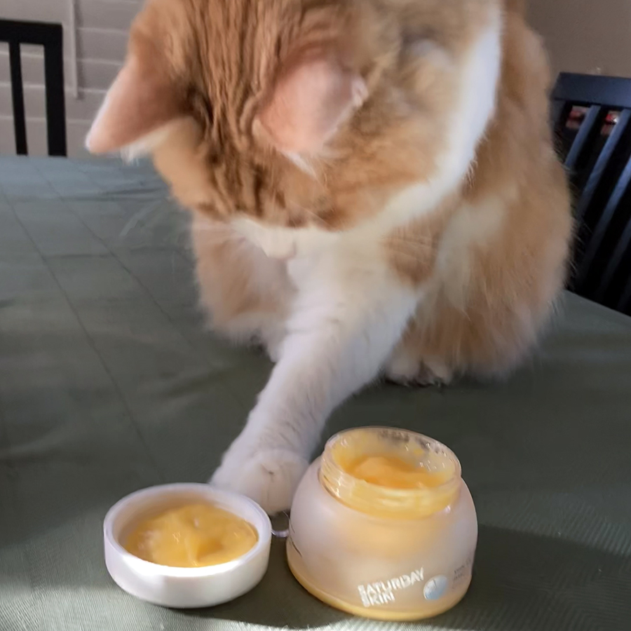 Rusty And Yuzu Sleeping Mask