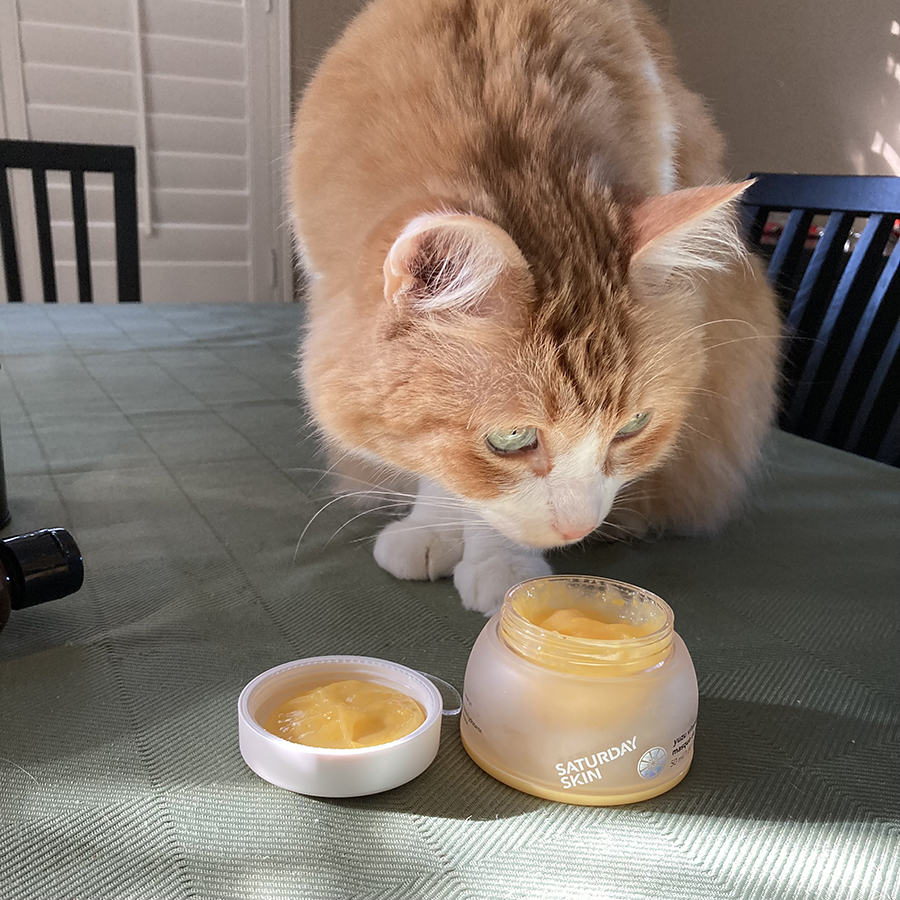 Rusty And Yuzu Sleeping Mask