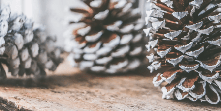 Christmas 2022 It's Not All Cake and Eggnog 1