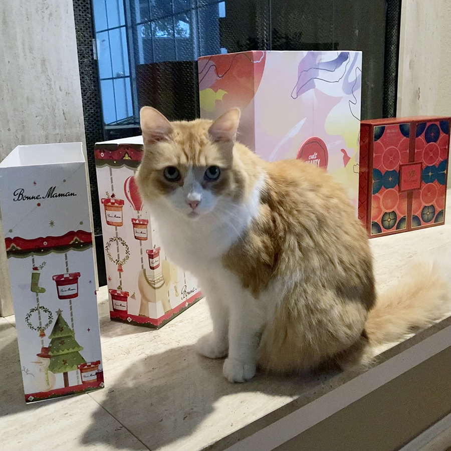 Rusty and Advent Calendars