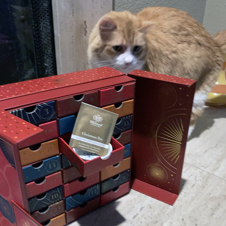 Rusty and Whittard of Chelsea Advent Calendar