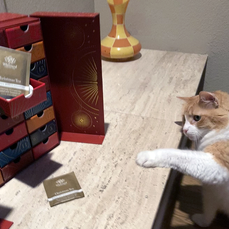 Rusty and Whittard of Chelsea Advent Calendar