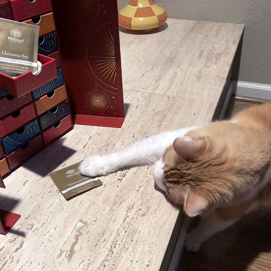 Rusty and Whittard of Chelsea Advent Calendar