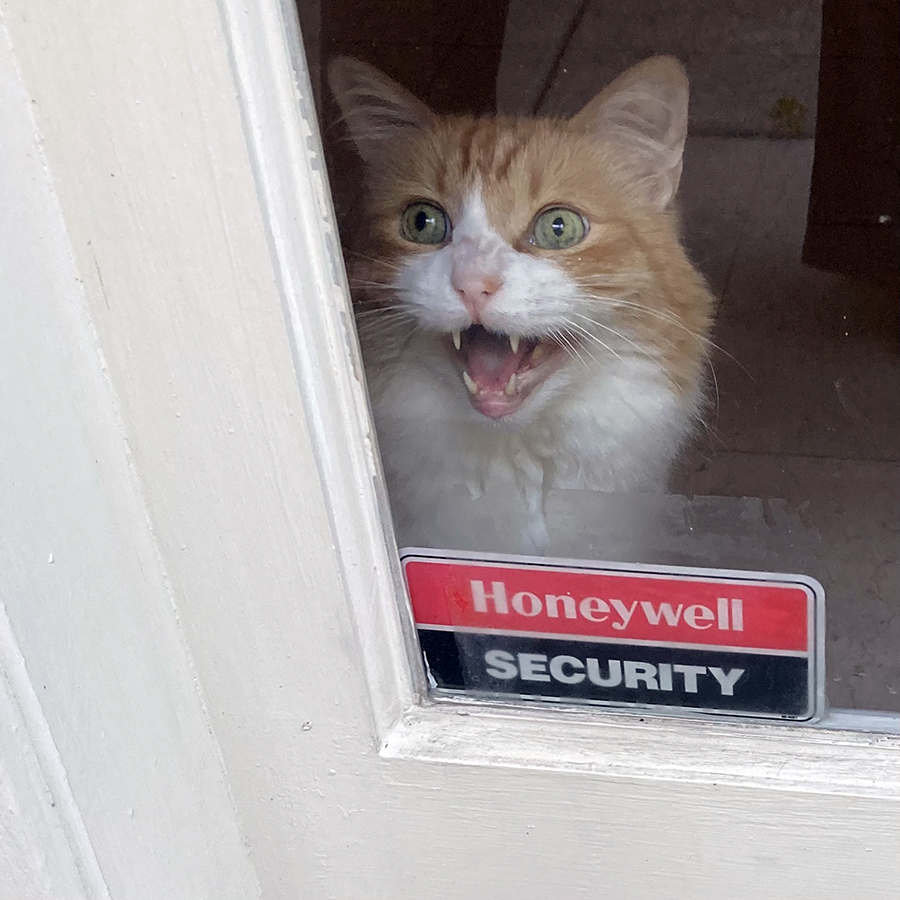 Rusty Home Security