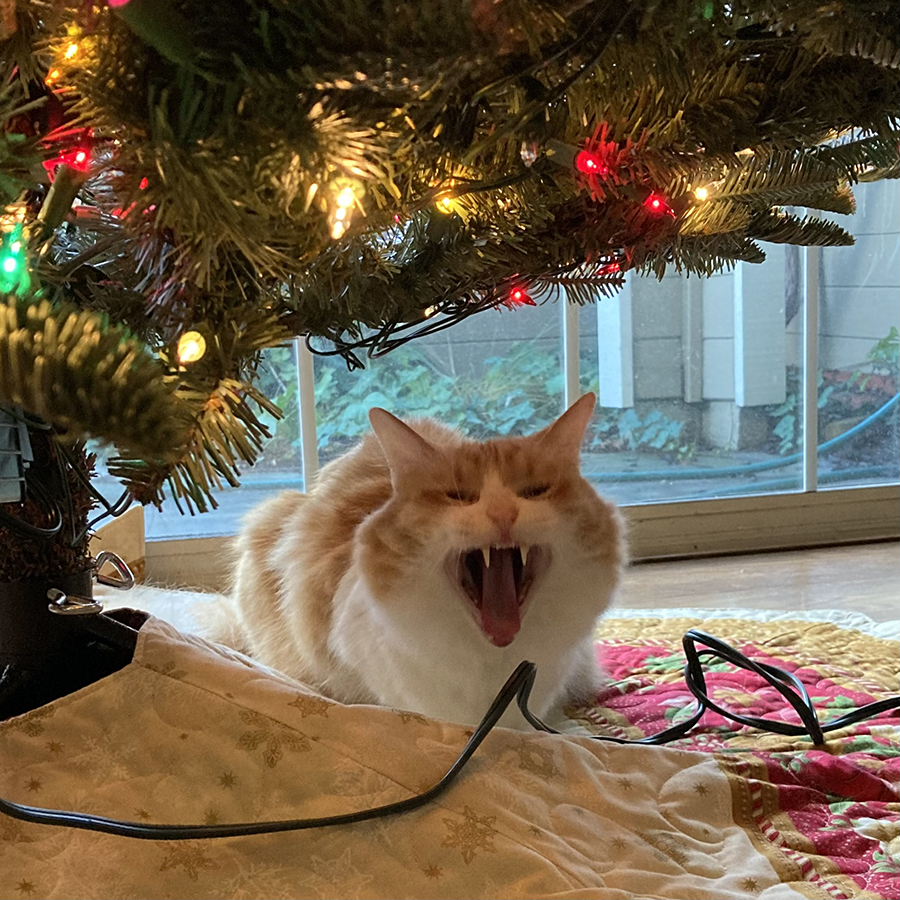 Rusty and XMas Decorations