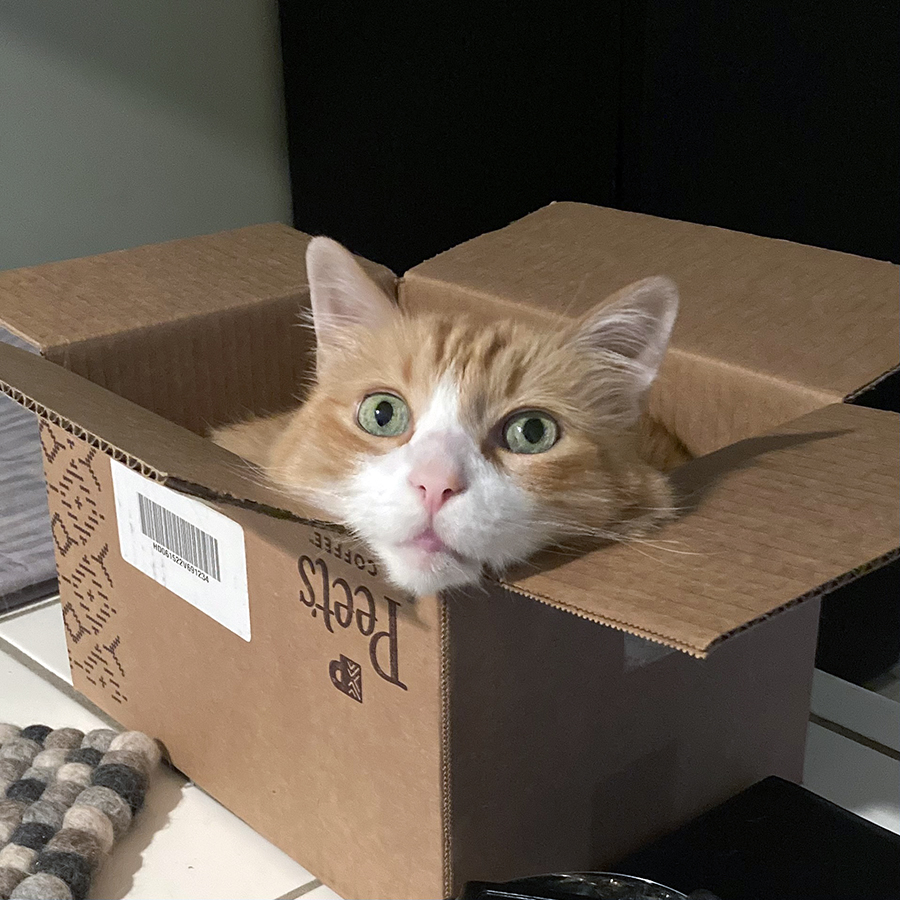 Rusty in a Box