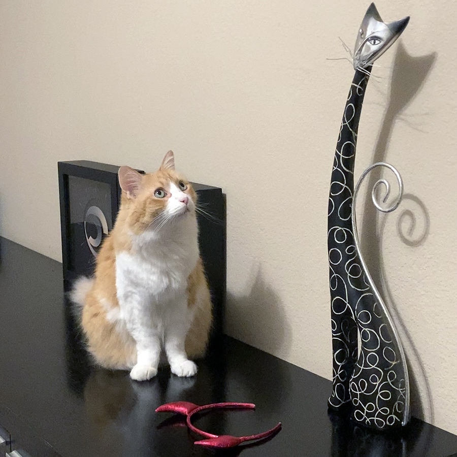 Rusty and Wooden Cat