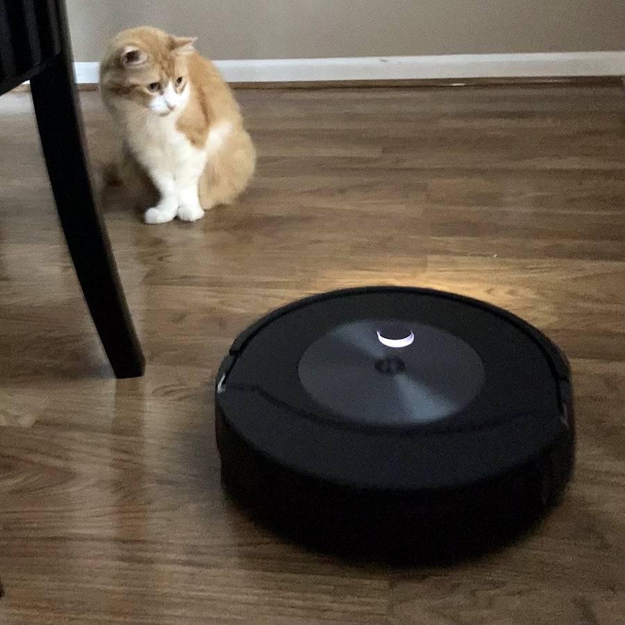 Rusty and Roomba