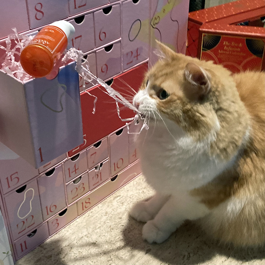 Rusty and Advent Calendars