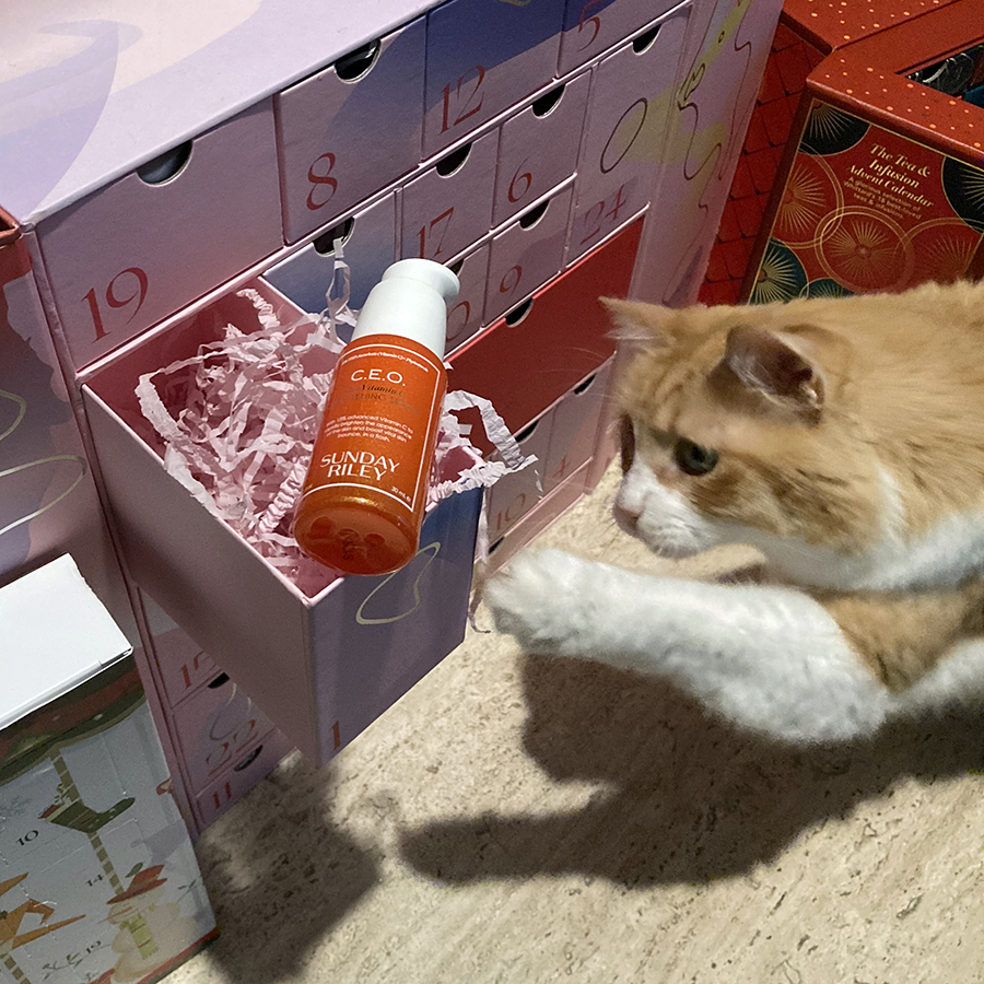 Rusty and Advent Calendars