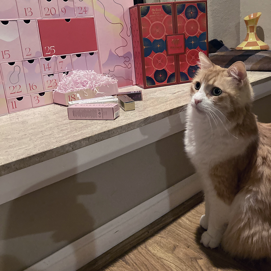 Rusty and Advent Calendars