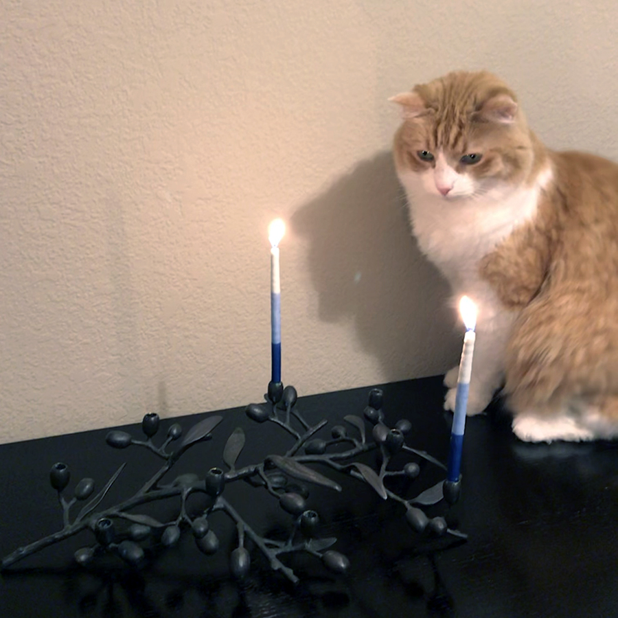 Rusty and Michael Aram Hanukkah Menorah