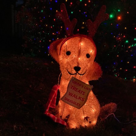 Dog's List for Santa