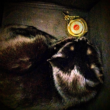 Pickles and Shalimar