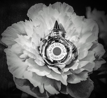 Guerlain Shalimar EdC