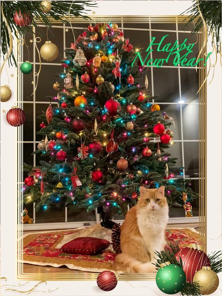 Rusty and Happy New Year 2023