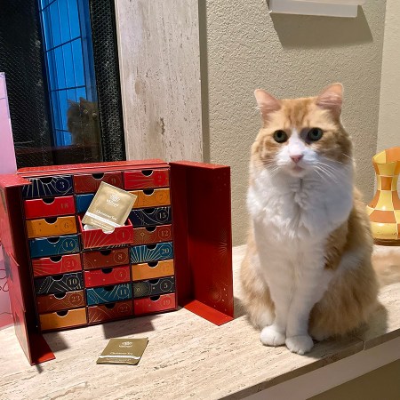 Rusty and Whittard of Chelsea Tea Advent Calendar