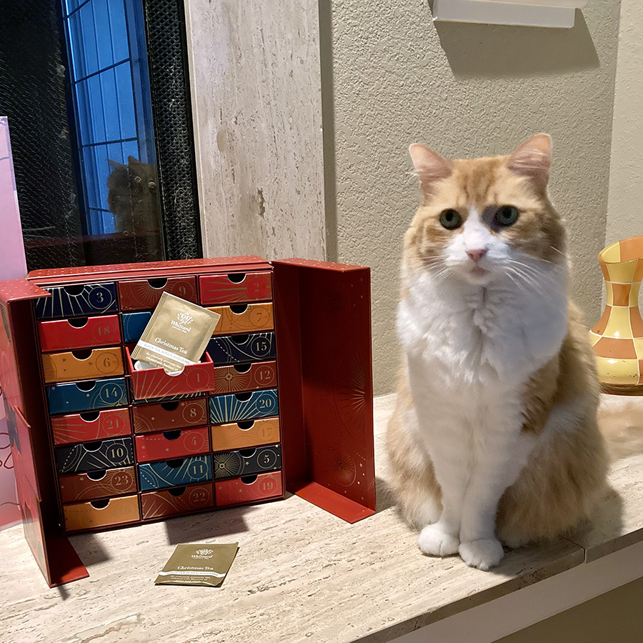 Rusty and Whittard of Chelsea Tea Advent Calendar