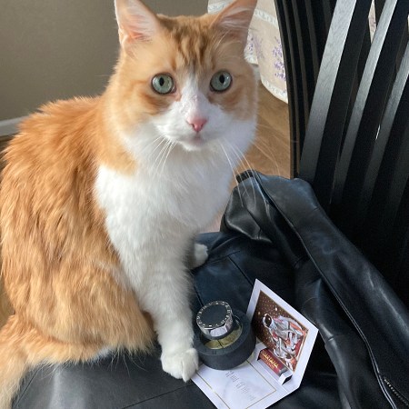 Rusty and Bvlgari Black and Ierofante