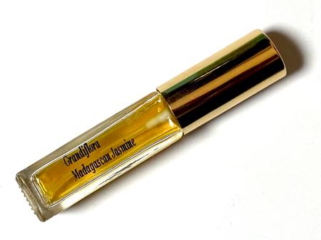 Madagascan Jasmine by Grandiflora July 23