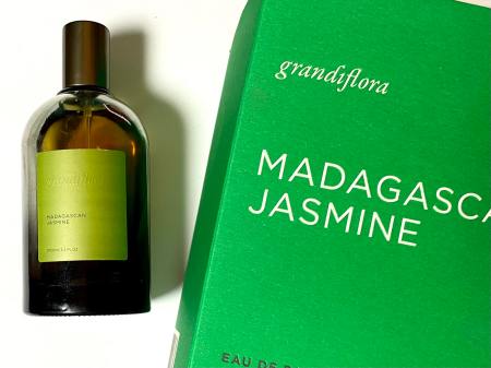 Madagascan Jasmine by Grandiflora