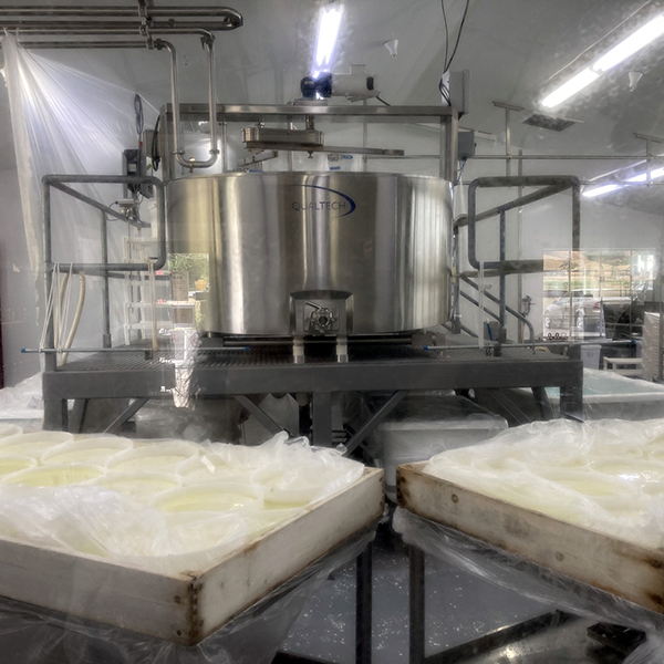 Nicasio Valley Farm Cheese