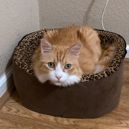Rusty's New Heated Bed