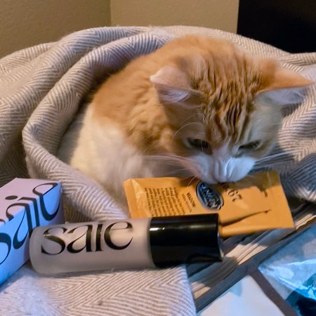 Rusty and Day 1 of Advent Calendars 2023 Items