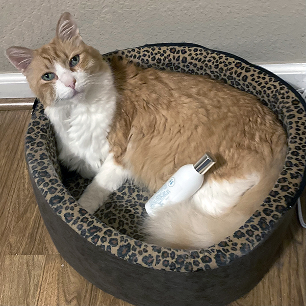 Rusty And Tauerville When We Cuddle And I Can Smell Your Perfume On My Clothes