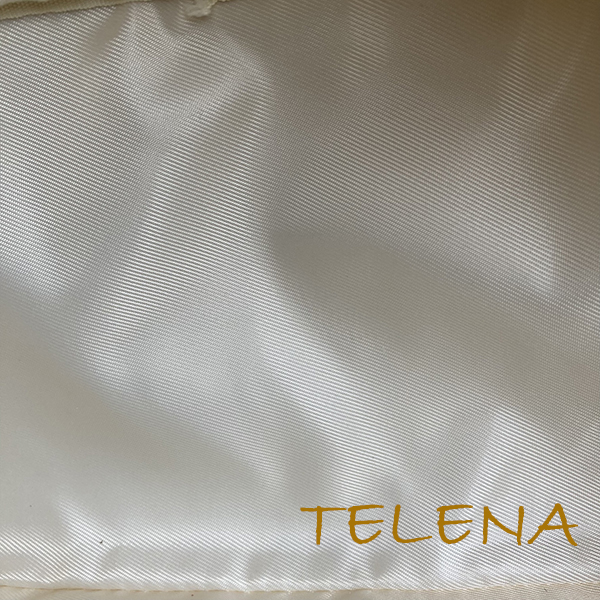 Telena bag interior