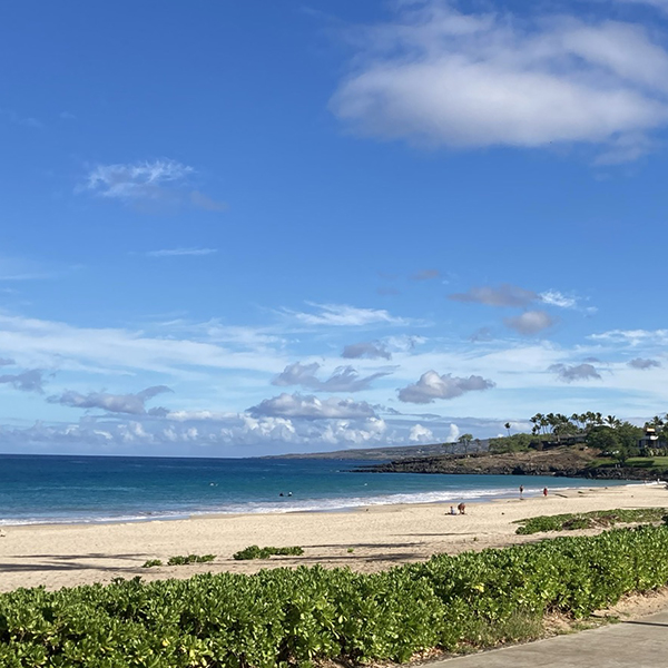 Big Island Hapuna Beach 2021