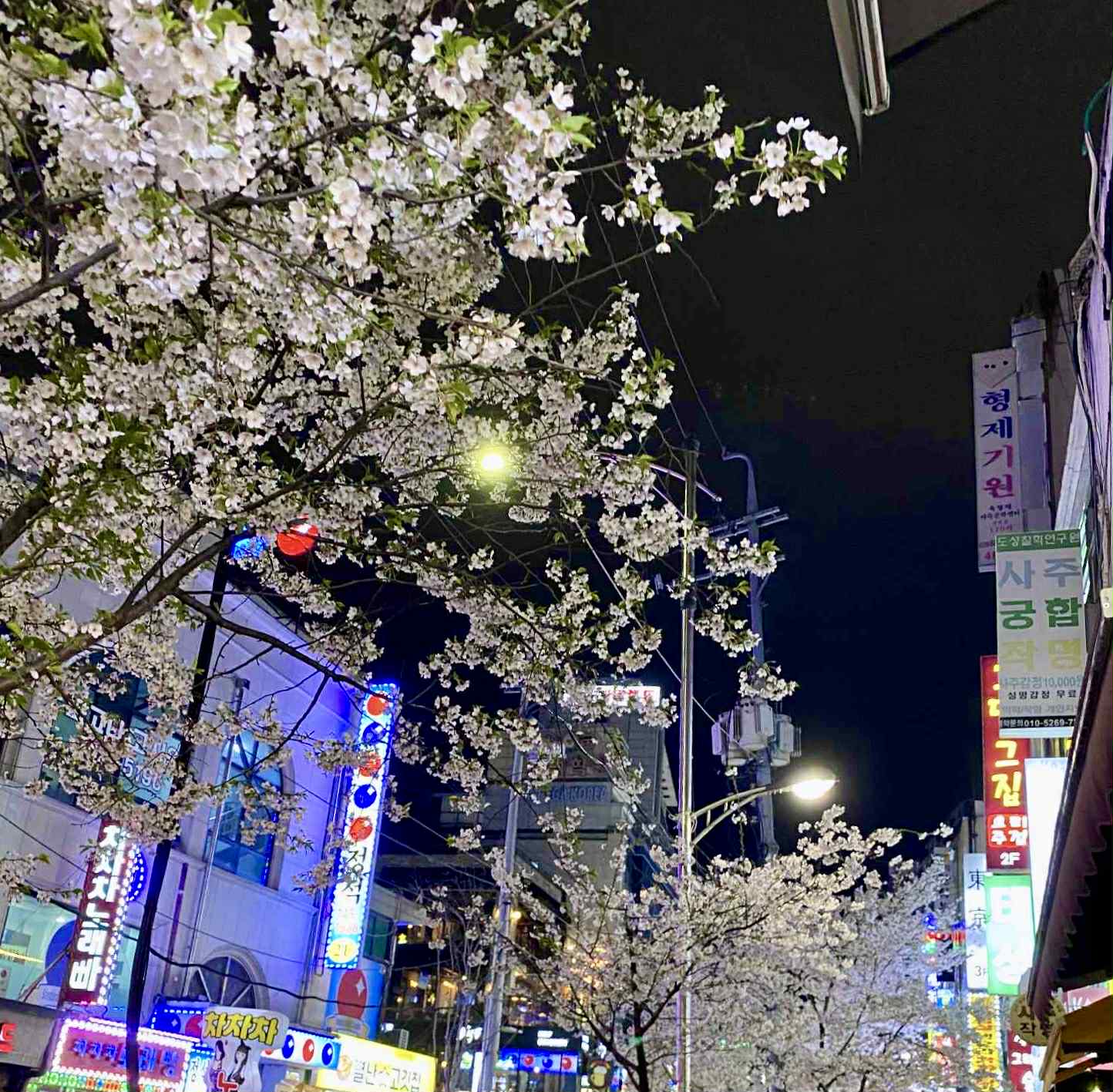 Eau Folle by Le Galion Spring in Seoul City